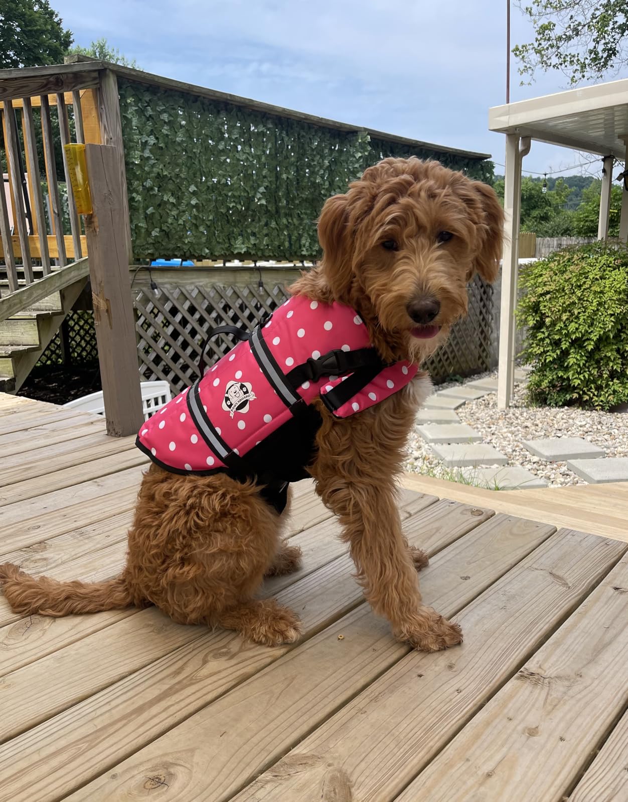 Dog Life Jacket - Premium Swim Vest with SafeChin Anti-Choke Collar | PAWS Aboard Red | RapidLift Rescue Handle, D-Ring, Reflective Trim | Boating, Kayaking, Pool | X-Large (80-110 lbs) customer photo 2