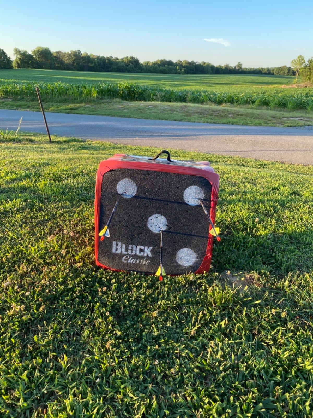 BLOCK Classic Layered Foam Archery Target, 2-Sided Shooting, Unique Open Layer Design Stops Field Points and Broadheads with Friction Not Force, Easy Arrow Removal, Top Carry Handle customer photo 2