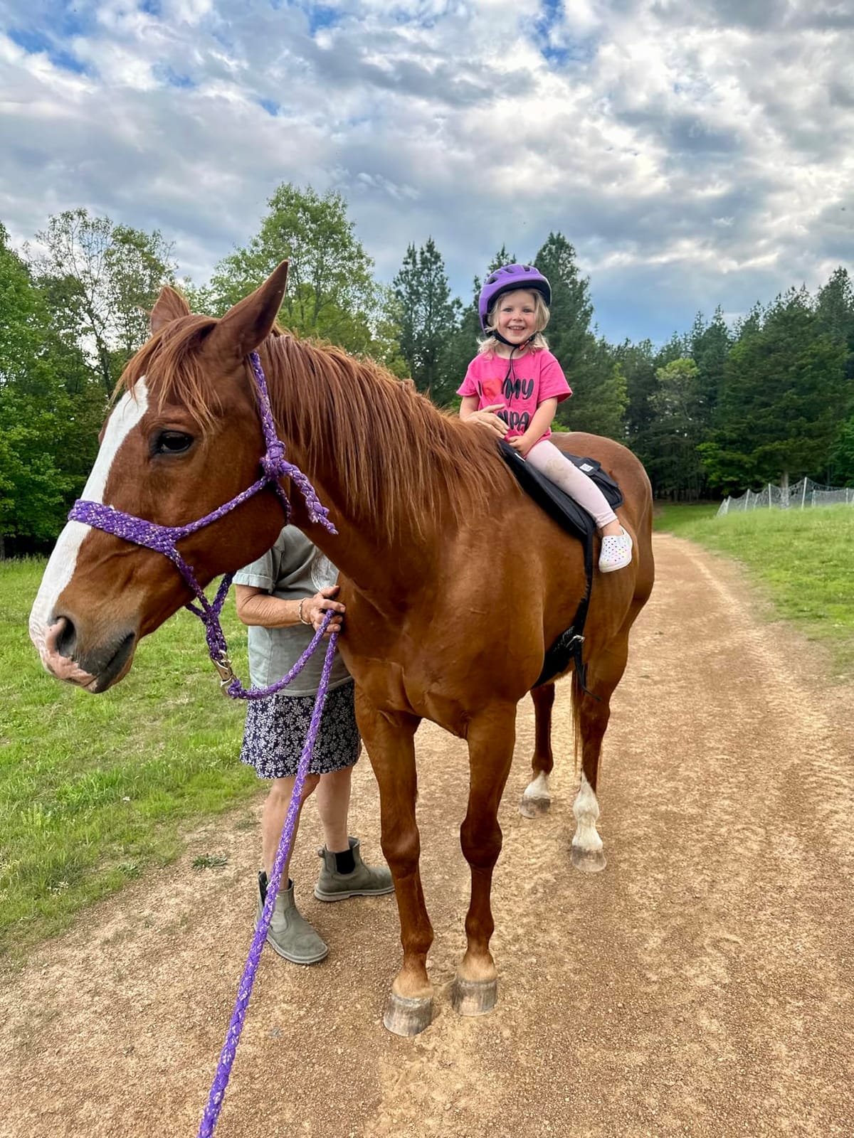 Best Friend Western Style Bareback Saddle Pad customer photo 1