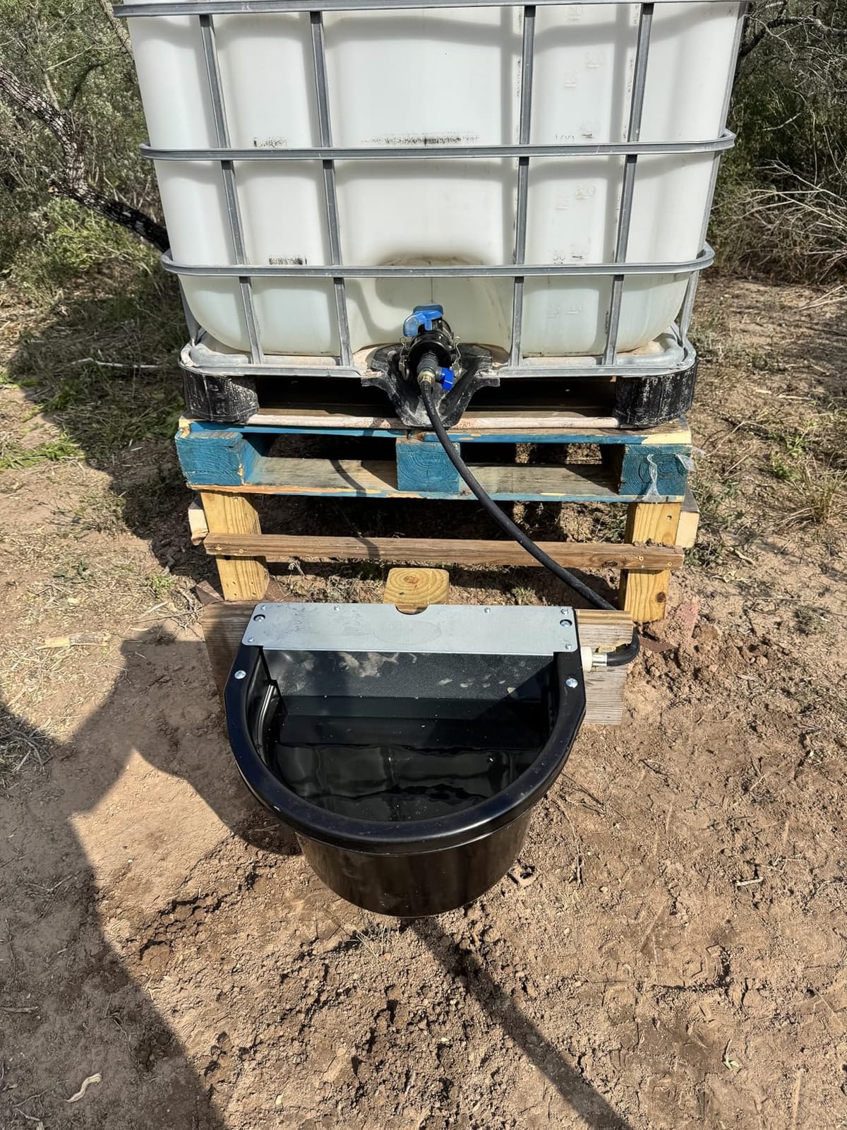 Little Giant Automatic Animal Waterer | DuraMate Float Controlled Automatic Waterer for Livestock | Heavy Duty and Durable | Made in USA | 4 Gallon (Black, 4 Gallon) | Float-Controlled Auto-Refill, Attached 30 Inch Hose Connects to Outdoor Tap, Over-Fence Mount Brackets, for Horses & Cattle customer photo 1