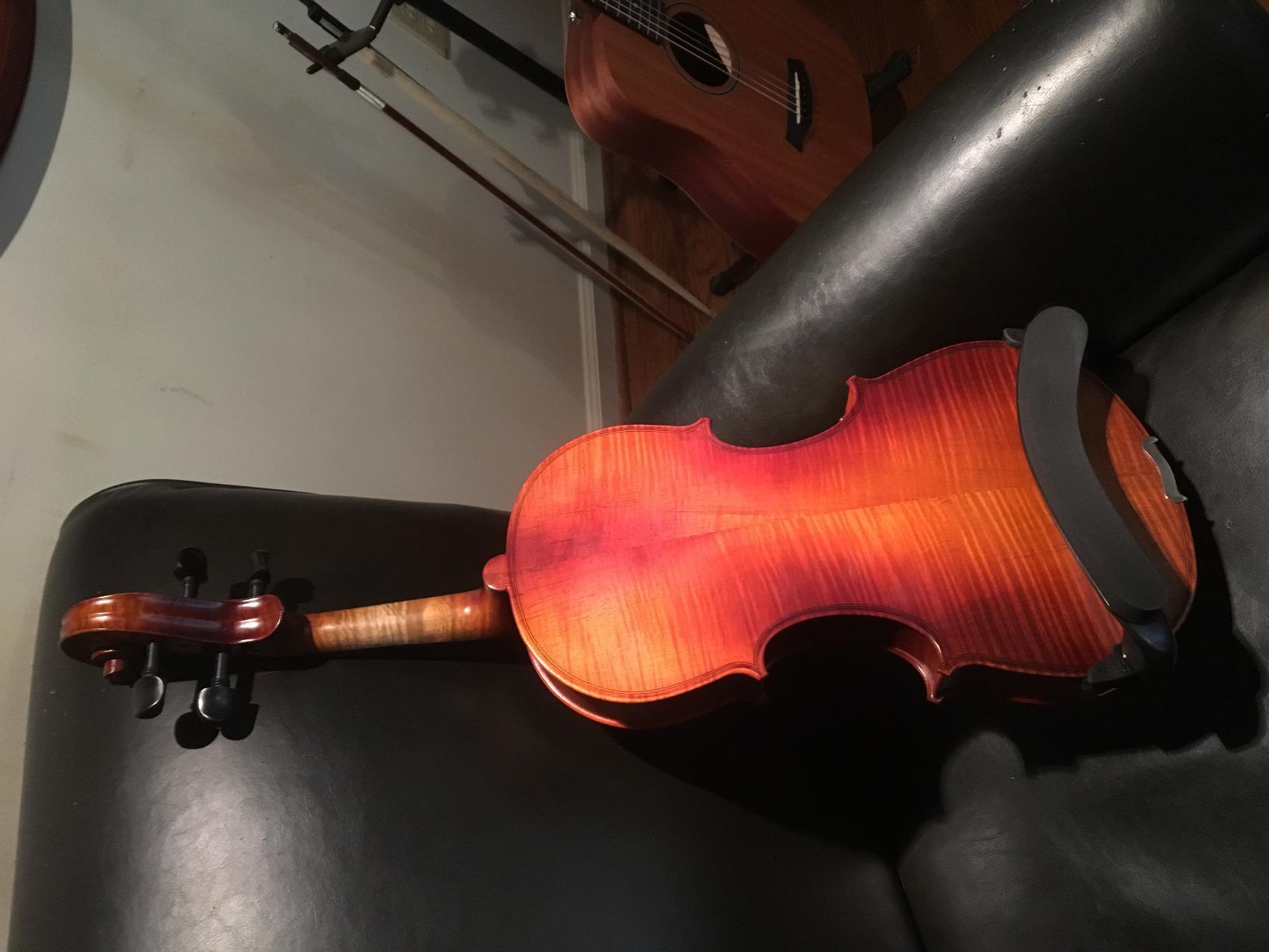 Cecilio Solid Wood Viola 15.5 Inch Viola Full Size, Professional Handcrafted Acoustic Viola with Ebony Fittings, Antique Satin Finish customer photo 2