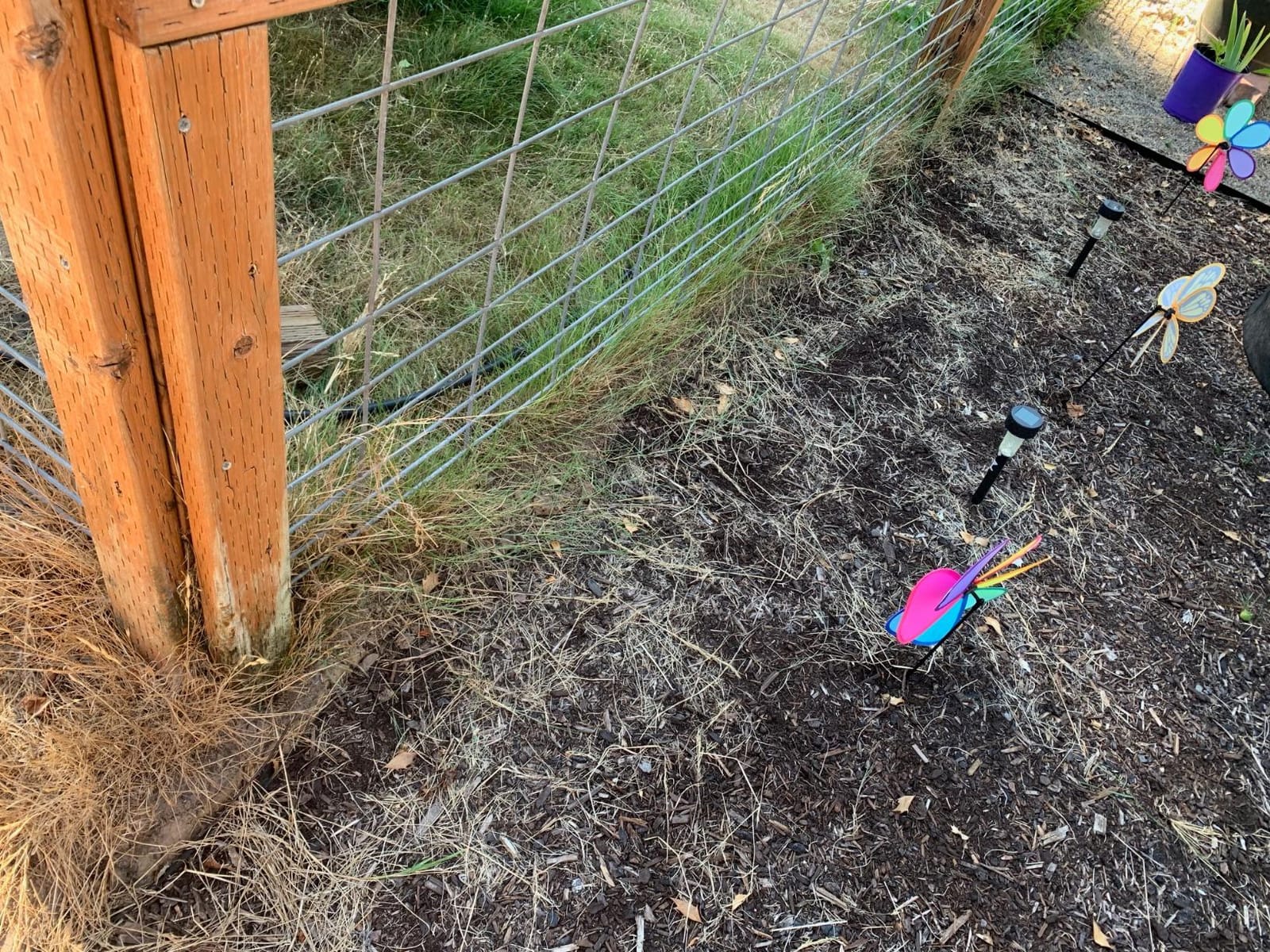 Harvest Sickle with Plastic Handle customer photo 1