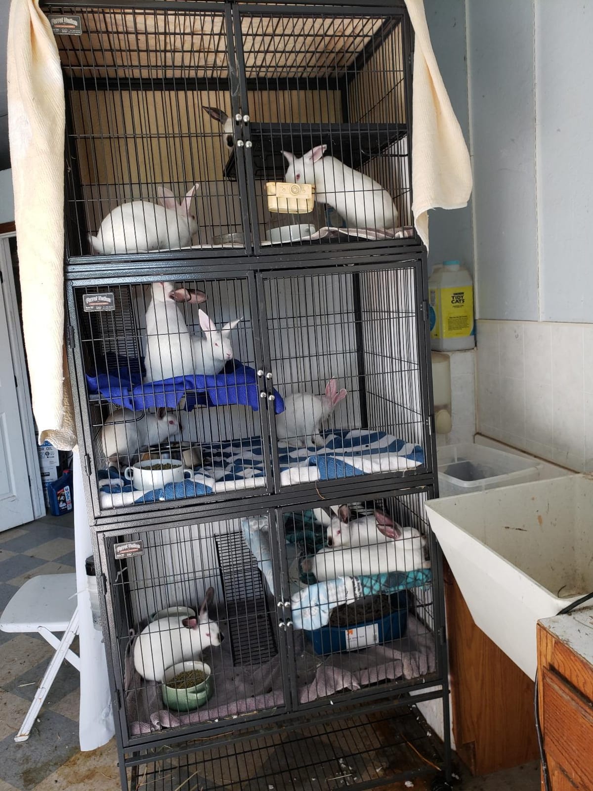 MidWest Homes for Pets Ferret Nation Double Unit Small Animal Cage customer photo 2