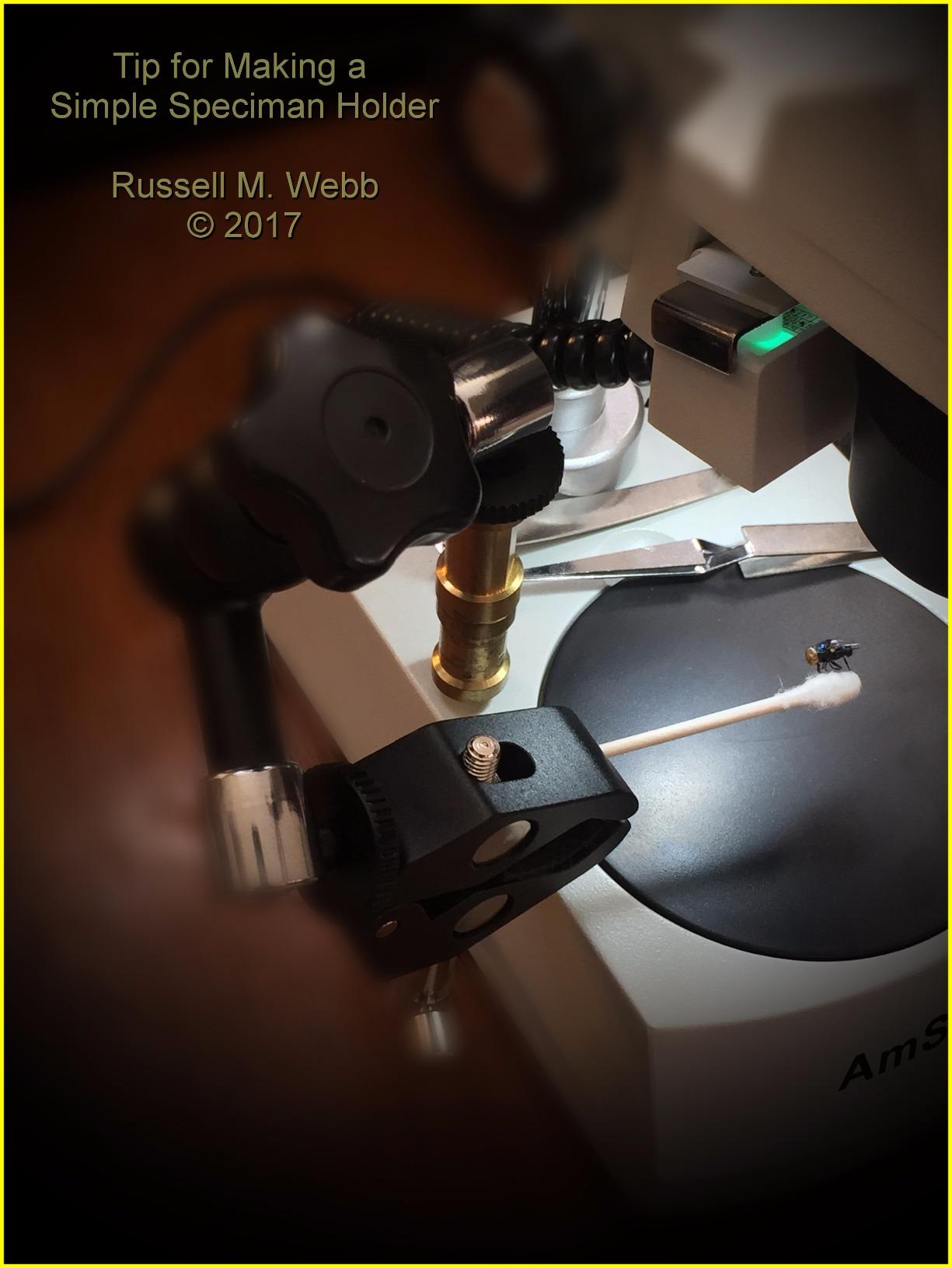 AmScope SE306R-P-LED Cordless LED Two Lights Stereo Microscope 40X | 20X-40X Magnification Range Cordless Battery Powered Built-In LED Illumination customer photo 1