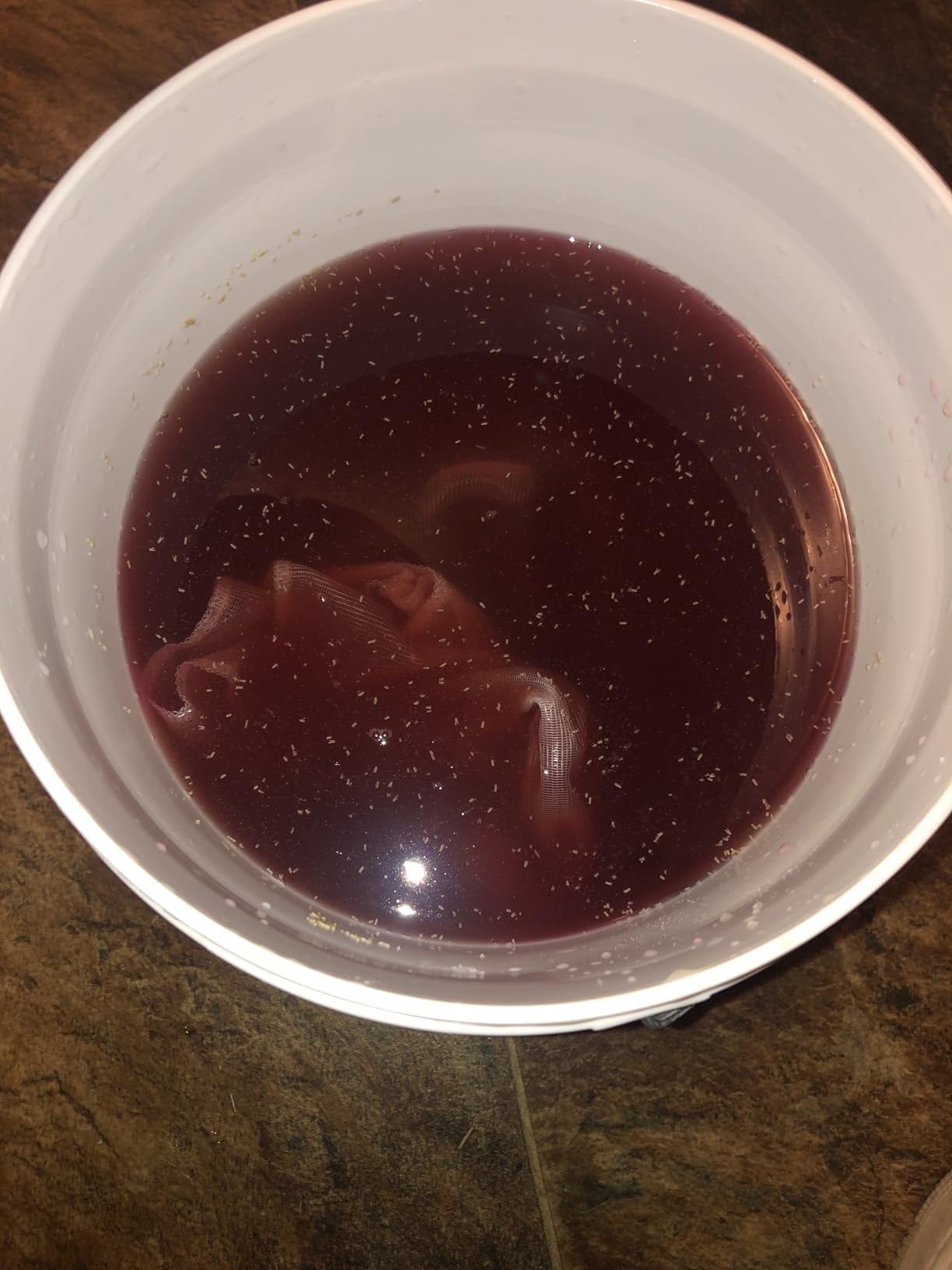 1 Gallon Wine from Fruit Kit customer photo 1
