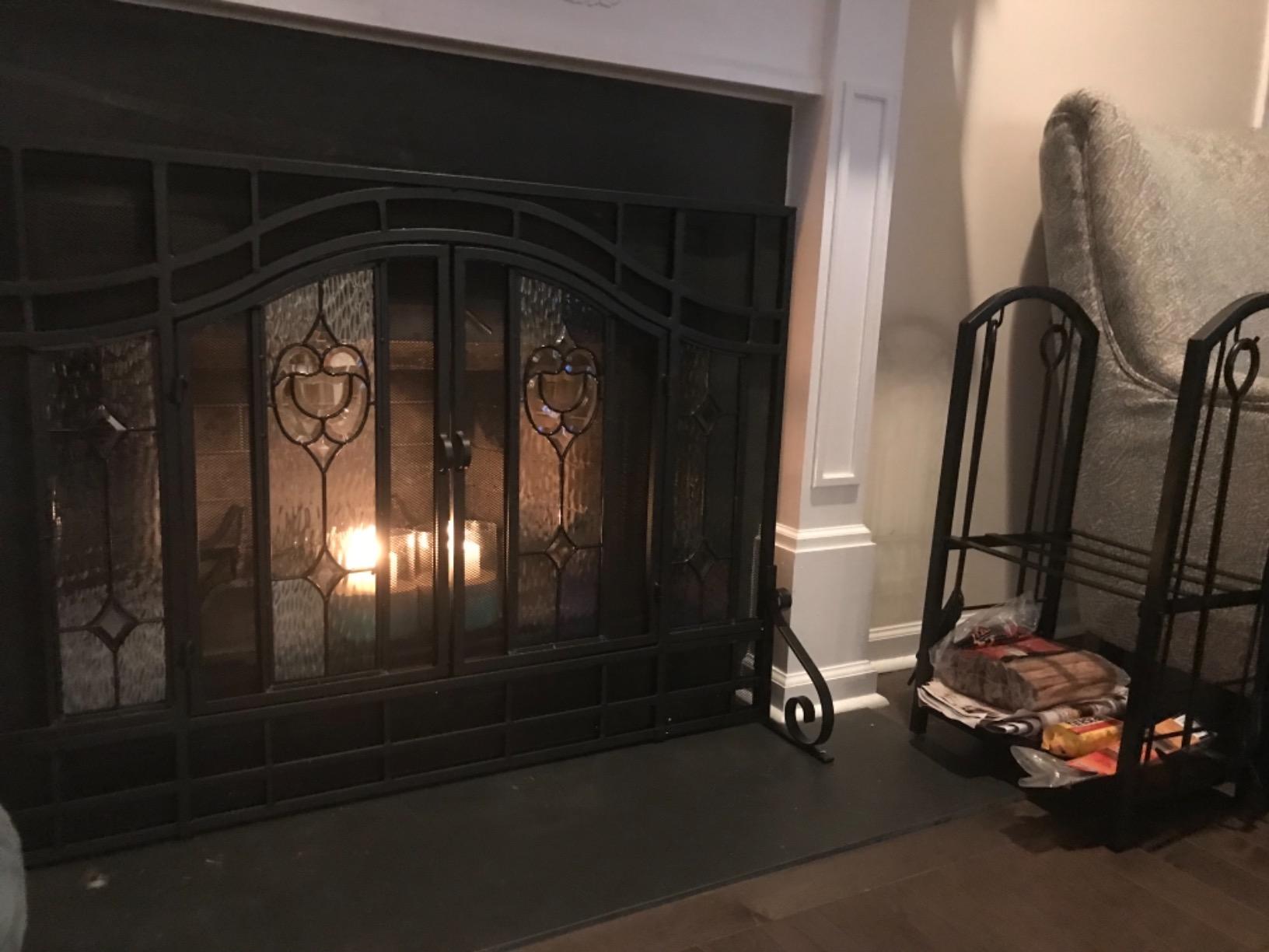 Plow & Hearth Metal Fireplace Screen Glass Floral Black | 38