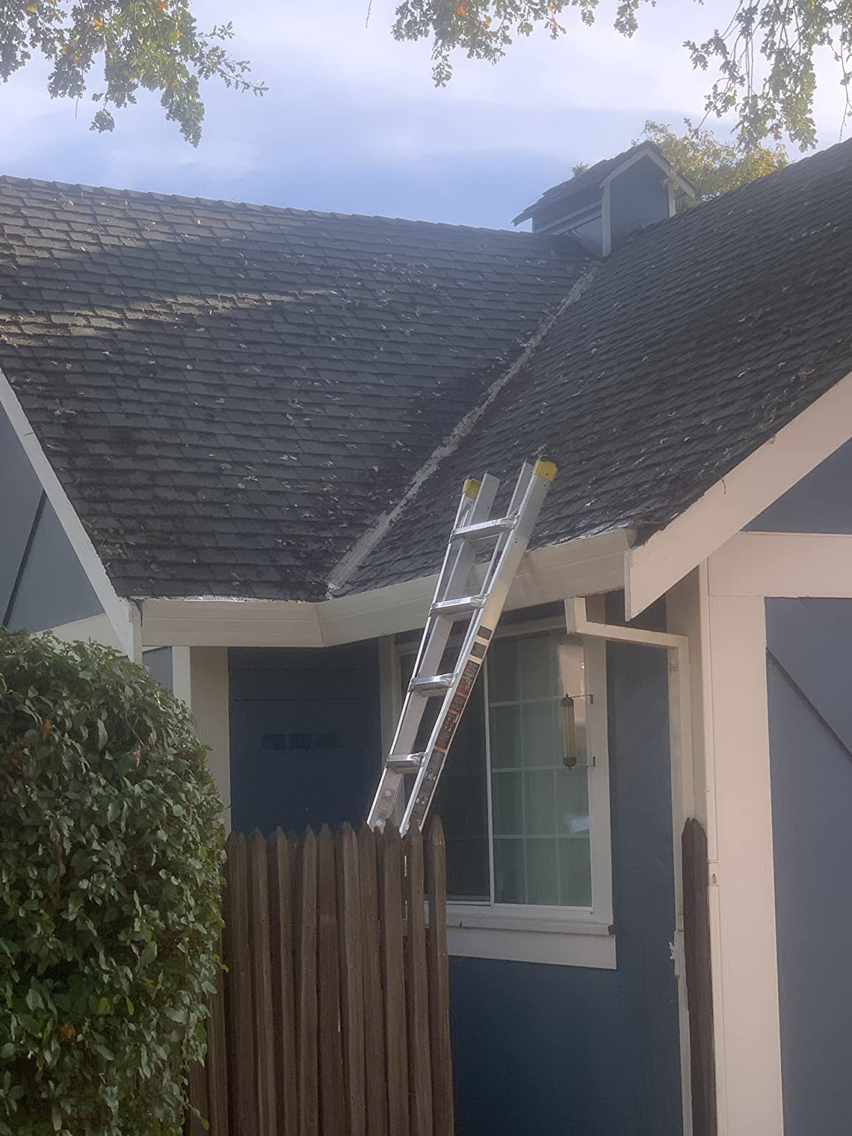 True Temper 193055510 Telescoping Snow Roof Rake with Aluminum Handle, 17-Foot customer photo 2