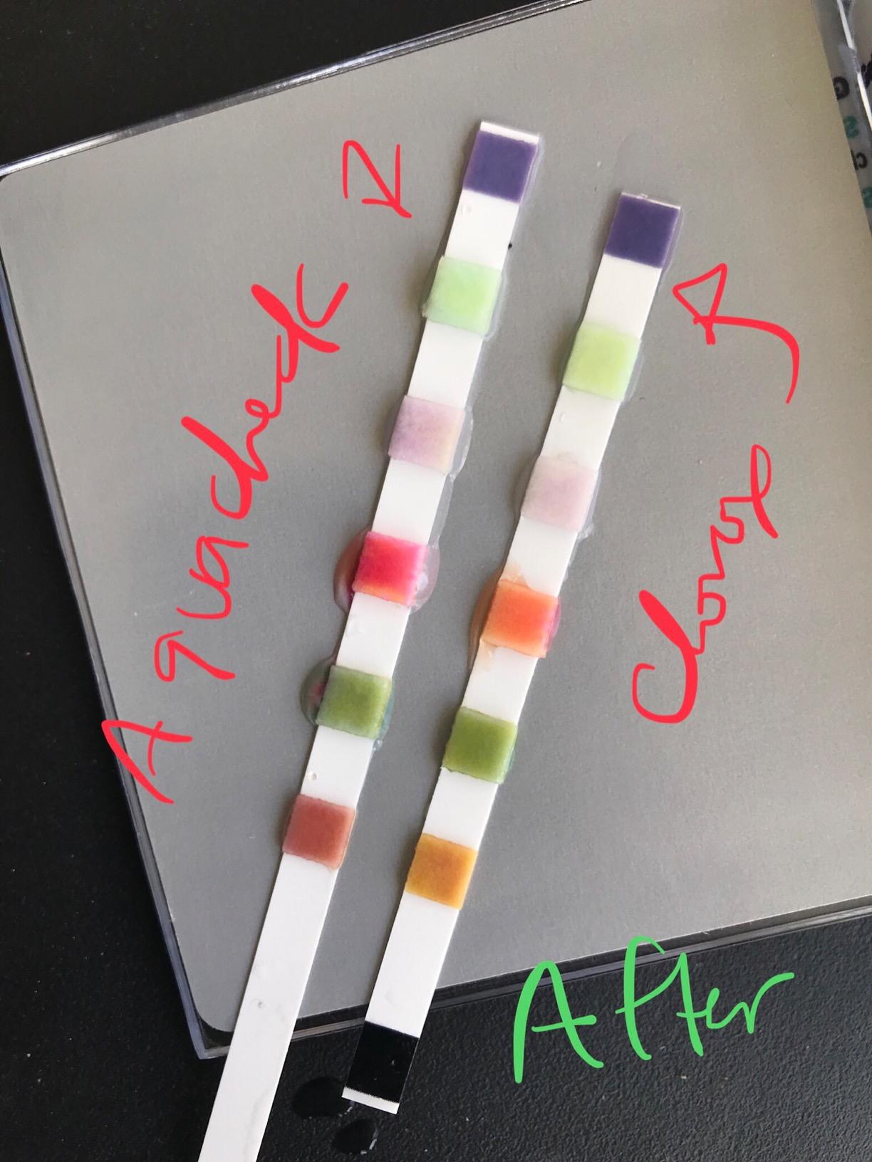 AquaChek 7-Way Pool and Spa Test Strips - Silver Pool Test Strips For pH, Total Chlorine, Free Chlorine, Bromine, Alkalinity, Total Hardness, and Cyanuric Acid - Water Quality Testing Kit (100 Strips) customer photo 1