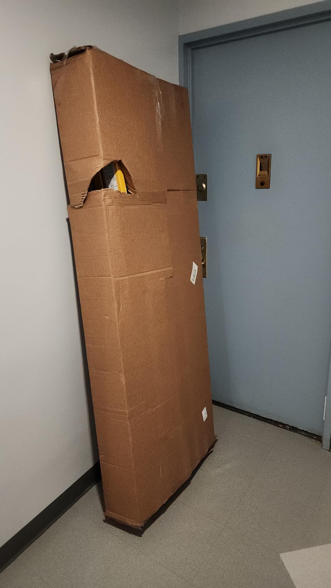 DeWalt 500lb Rated FG Stepladder 6' DXL3810-06 customer photo 1
