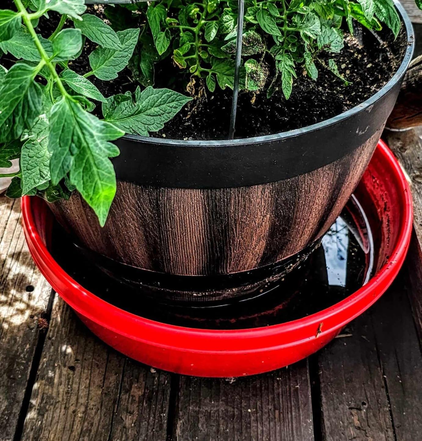 Little Giant Plastic Utility Pan | Feed Pan | Durable & Versatile Livestock Feeding Bucket | Made in USA | 3 Gallon | Green customer photo 1