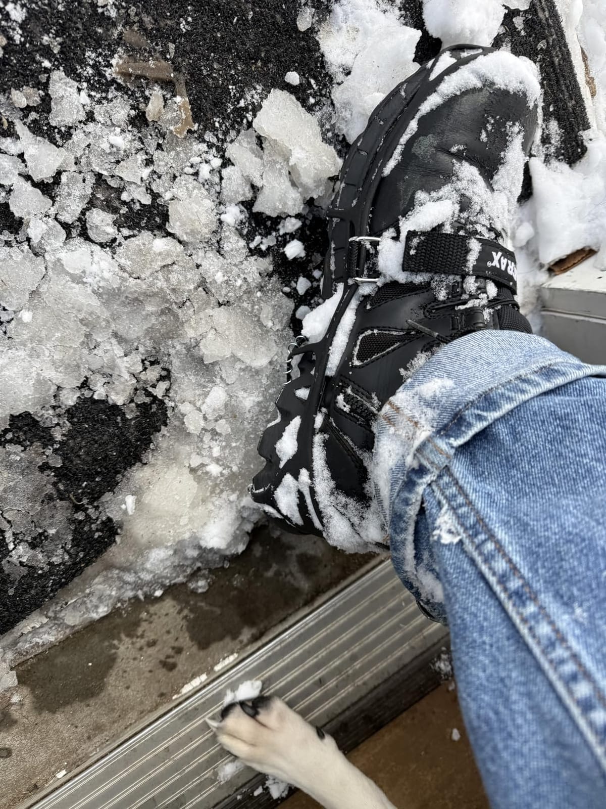Yaktrax Pro Traction Cleats - 360-Degree Grip on Snow, Ice, & Multi-Terrain Surfaces - Elastic Outer Band w/Easy-On/Off Heel Tab & 1.4mm Stainless Steel Coils - Abrasion Resistant - Unisex customer photo 2