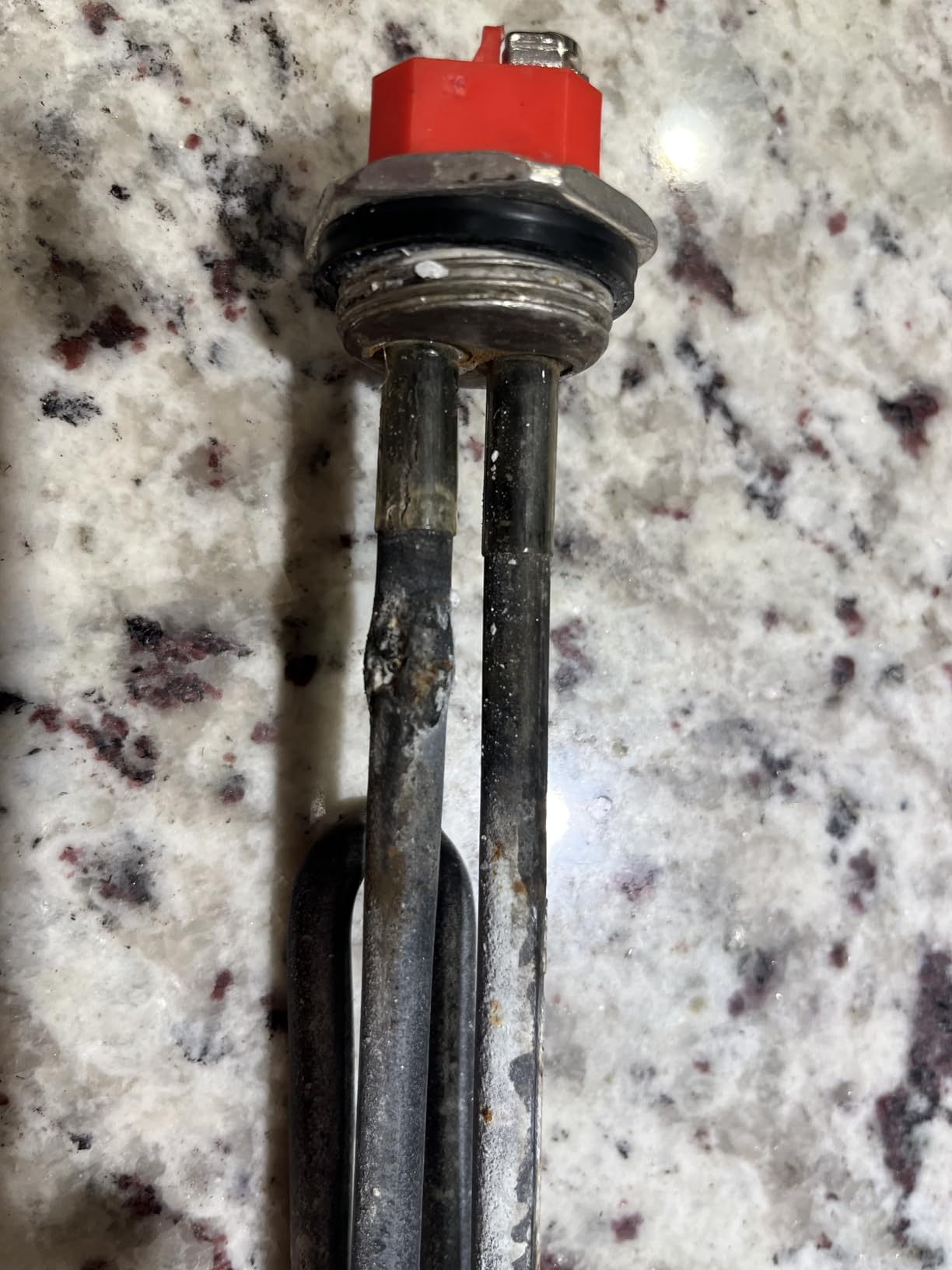 Rheem SP10869MM Screw-In 240-volt by 4500-watt Element, Premium Resistored Stainless Steel customer photo 2