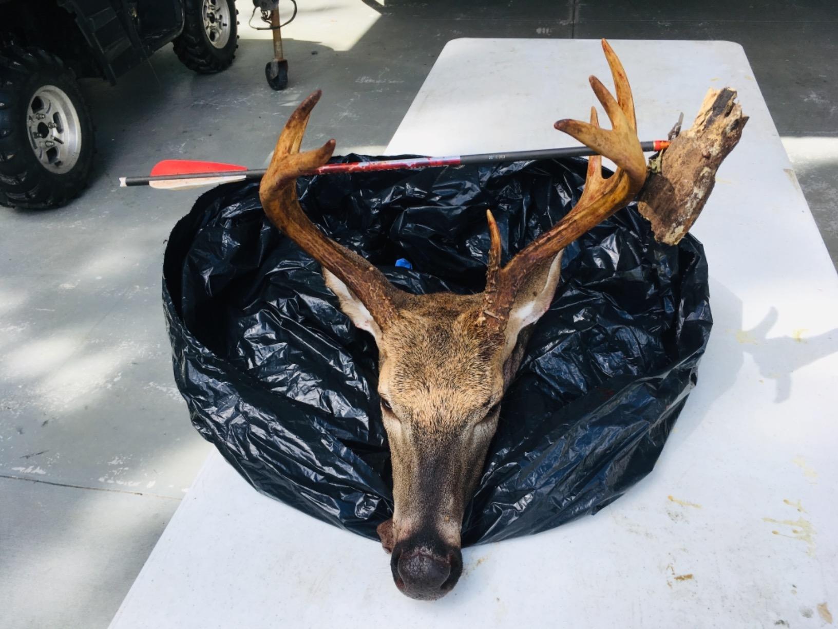 Bloodsport Crossbow Bolts customer photo 1