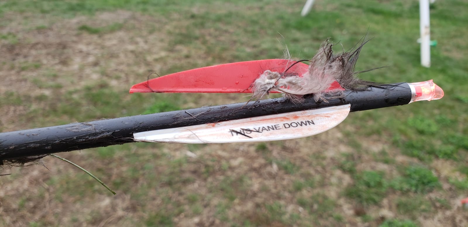 Bloodsport Crossbow Bolts customer photo 2