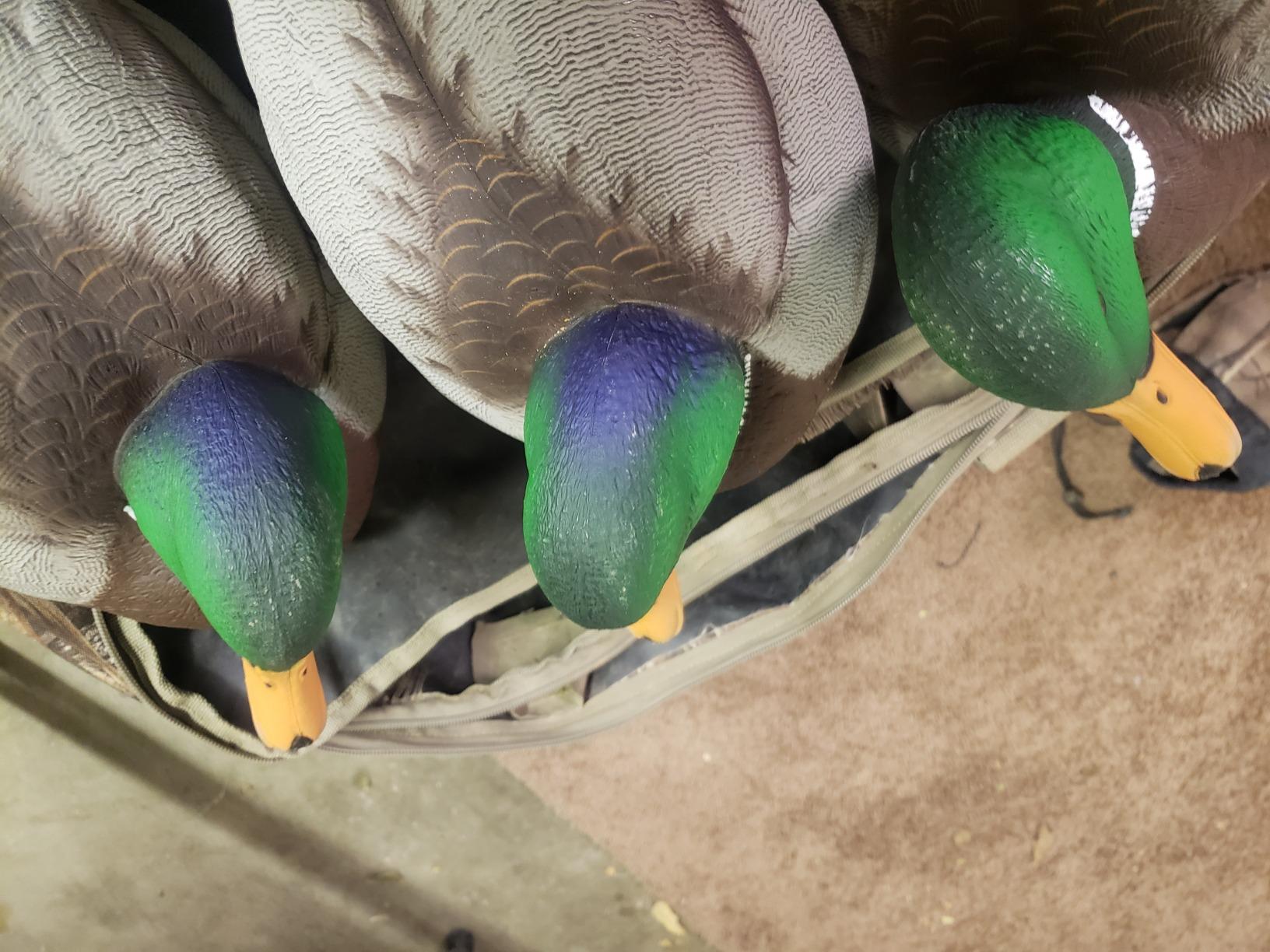 Avian X Topflight Realistic Open Water Mallard Duck Decoys with Weight-forward swim keel Set of 6 (Multicolor) customer photo 2