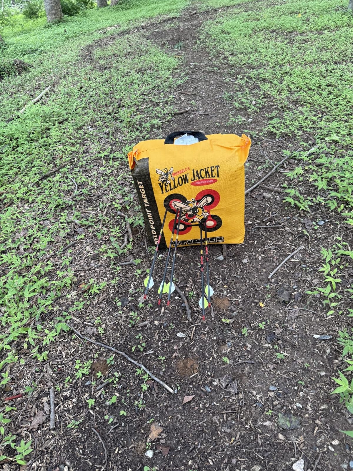 Morrell Yellow Jacket Stinger, Field Point Archery Target with 2 Shooting Sides & 10 Bullseyes - Portable Backyard Hunting Practice Bag with E-Z Toto Carrying Handle & Easy Arrow Removal customer photo 2