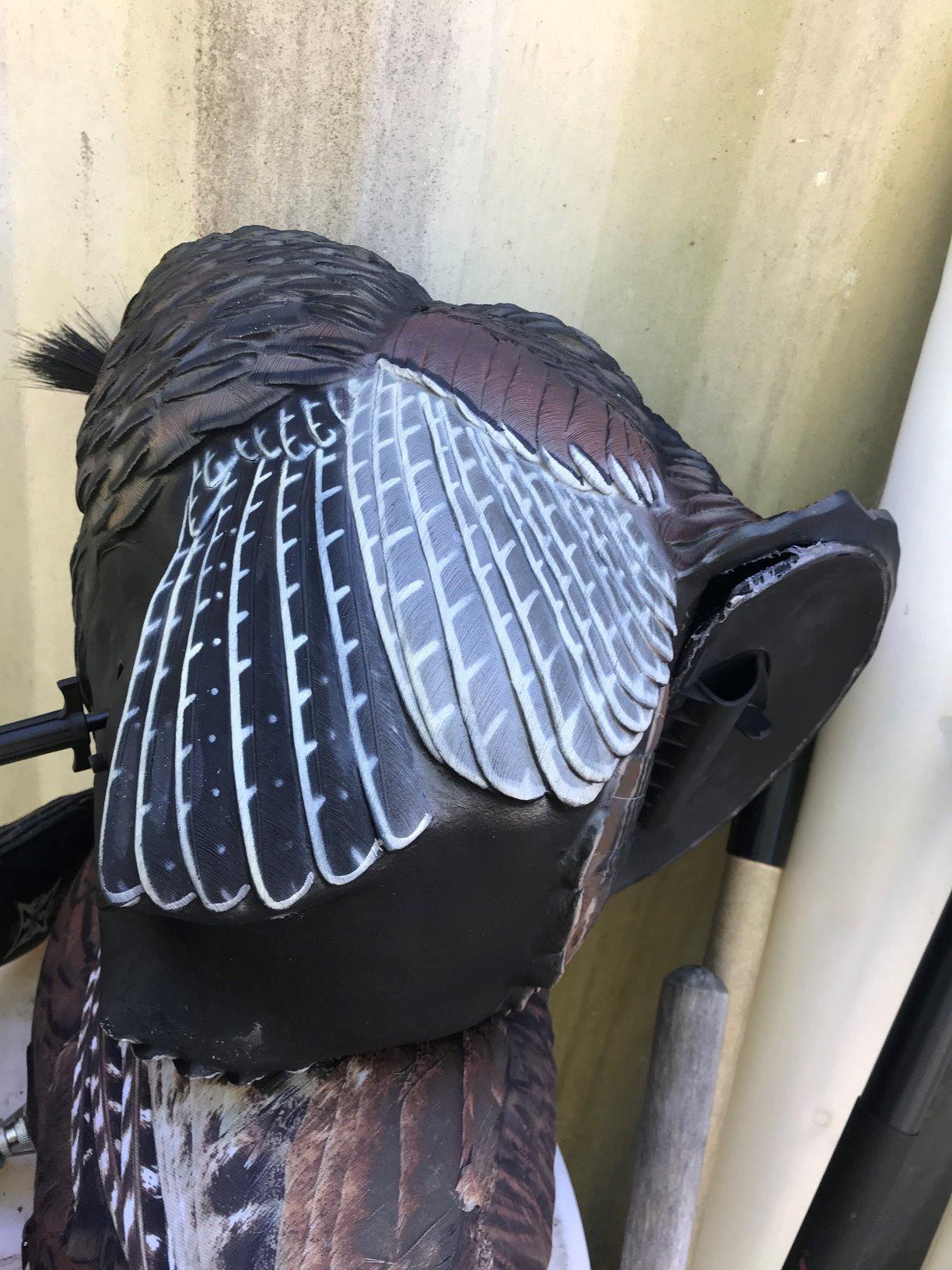 Avian-X LCD Strutter Durable Realistic Lifelike Collapsible Standing Hunting Folding Turkey Decoy with Carry Bag & Stake, AVX8004 customer photo 2