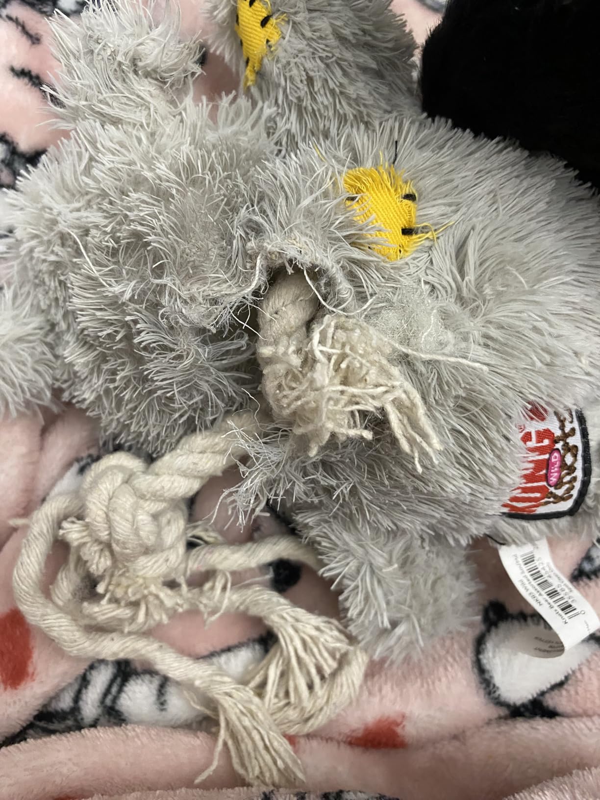 KONG Wild Knots Bears - Durable Dog Toys with Internal Knotted Ropes customer photo 1