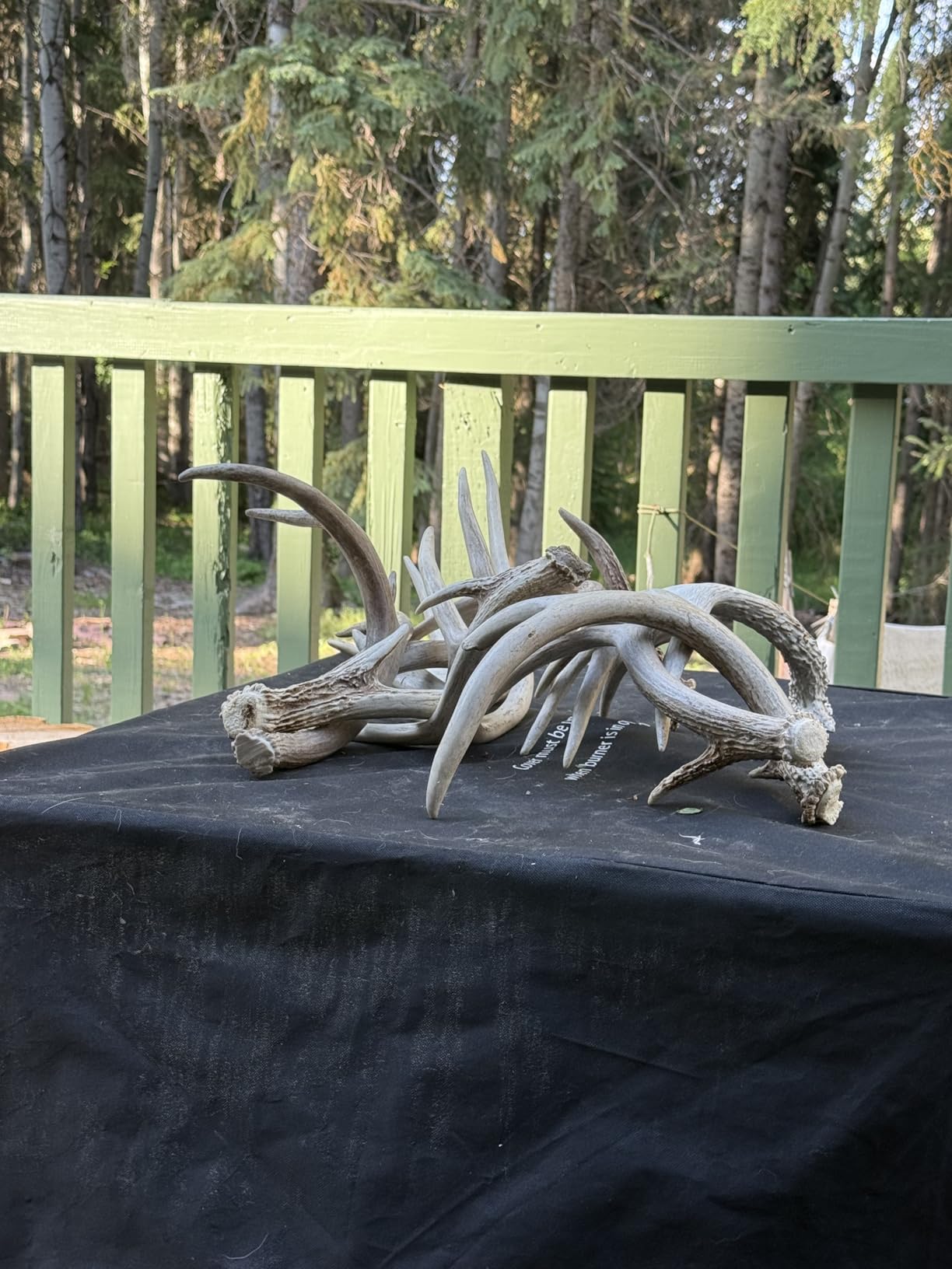 DogBone Shed Hunting Dog Training Kit - Train Your Puppy to Find Deer Antlers - Includes 2 oz Scent for Nosework & Flexible Floating Dummy for Retrieving - Perfect for Whitetail Hunters customer photo 1