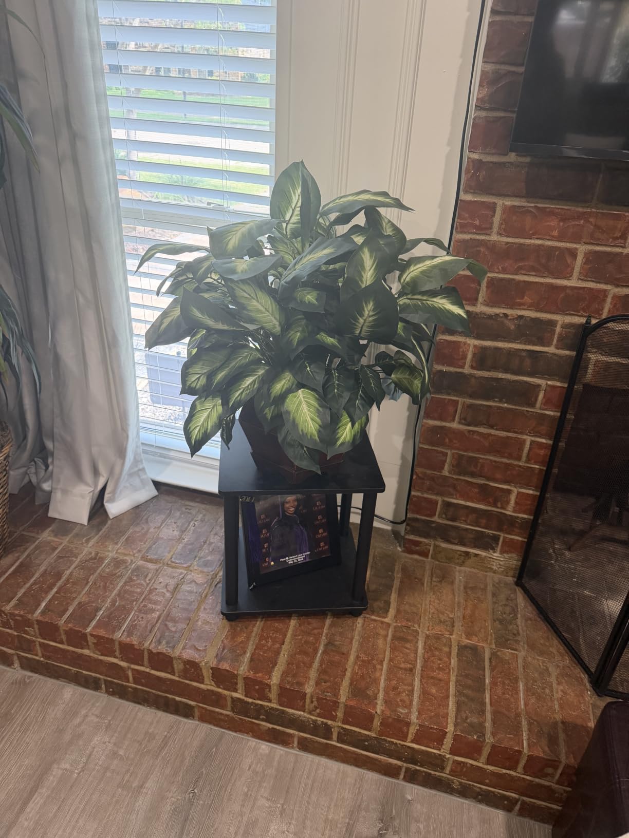 Nearly Natural 24 in Artificial Golden Dieffenbachia Plant with Pot | Variegated Foliage Silk Plant, Modern Hexagon Planter, Maintenance-Free Indoor Faux Greenery, Room Decor customer photo 1