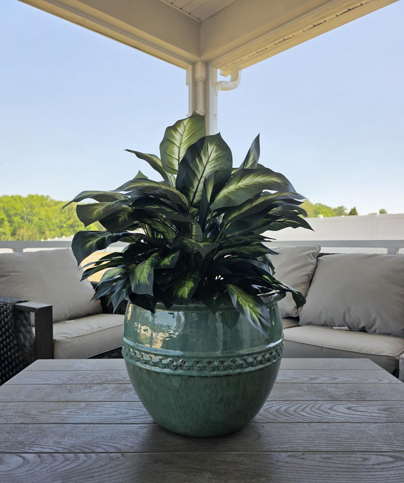 Nearly Natural 24 in Artificial Golden Dieffenbachia Plant with Pot | Variegated Foliage Silk Plant, Modern Hexagon Planter, Maintenance-Free Indoor Faux Greenery, Room Decor customer photo 2