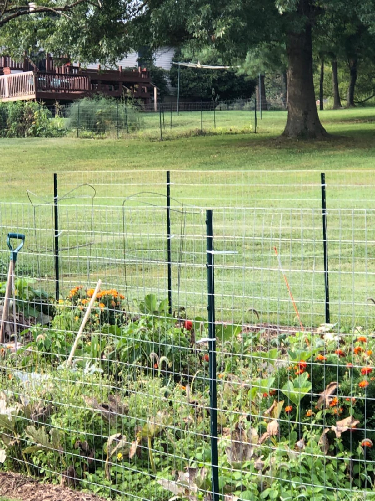 YARDGARD 2 in. x 4 in. Mesh Welded Wire Fence Roll, 48 in. x 50 ft., 14-Gauge Galvanized Steel Fence for Animal Enclosures, Garden Protection and Property Fencing, Rabbit Control and Utility Fence customer photo 1