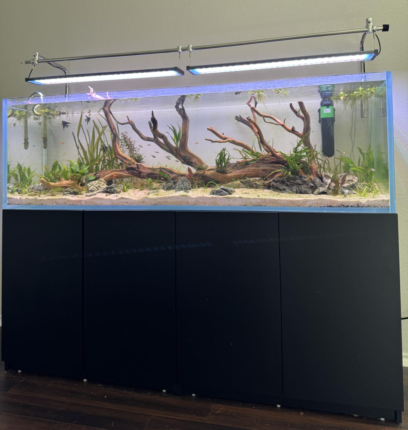 30 Gallon Rimless Low Iron Glass Aquarium Tank, 23.6