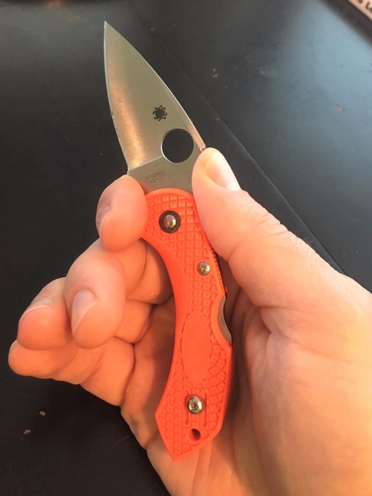 Spyderco Dragonfly 2 Lightweight Folding Pocket Knife, PlainEdge, 2.28