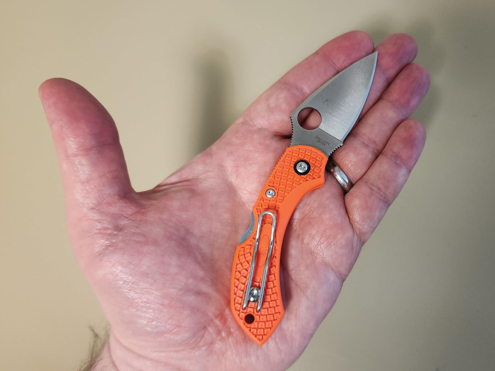 Spyderco Dragonfly 2 Lightweight Folding Pocket Knife, PlainEdge, 2.28