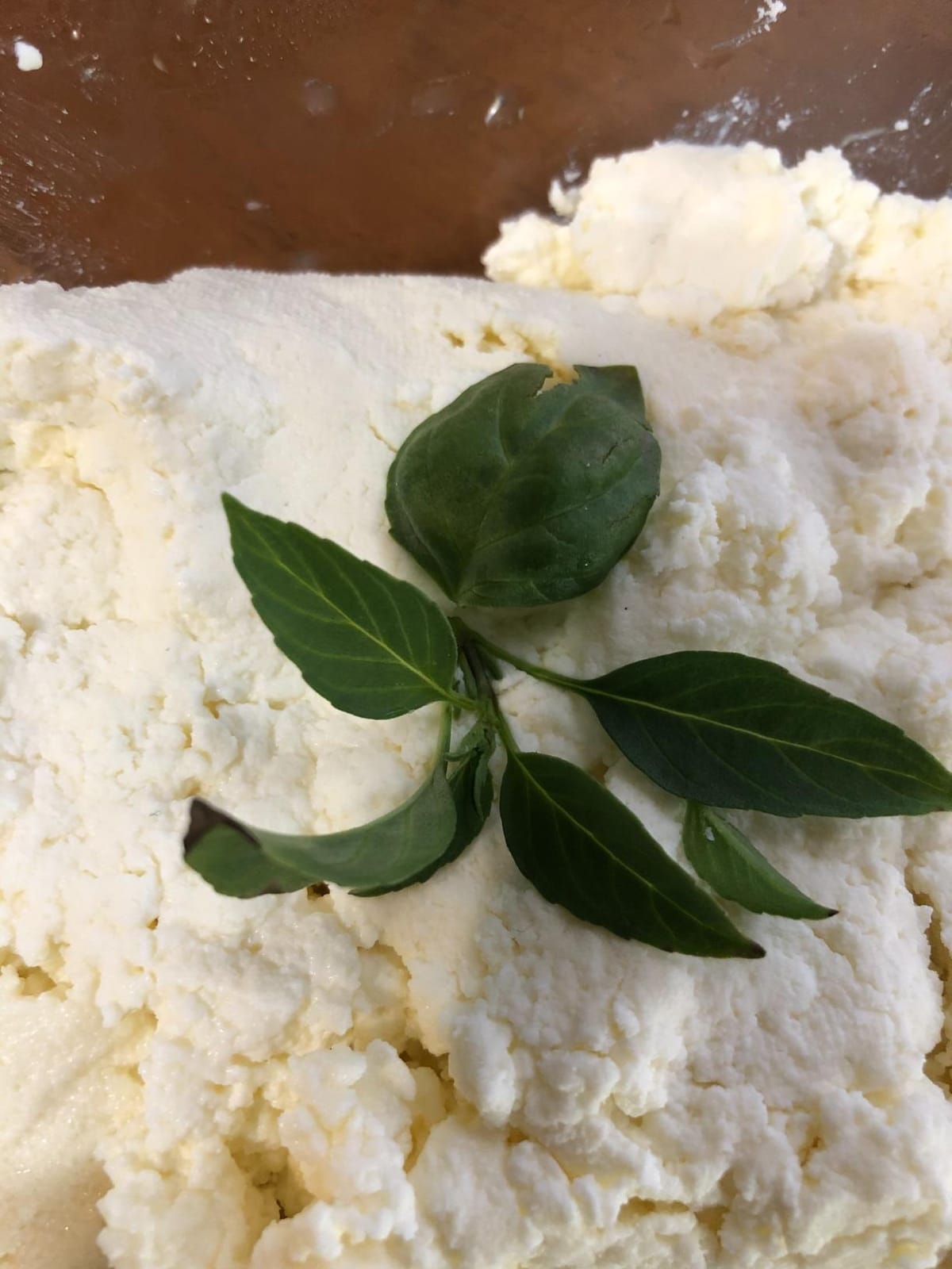 Basic Beginner Cheese Making Kit - Mozzarella, Burrata, Burricota, Chevre, Ricotta, Mascarpone & Butter! customer photo 2