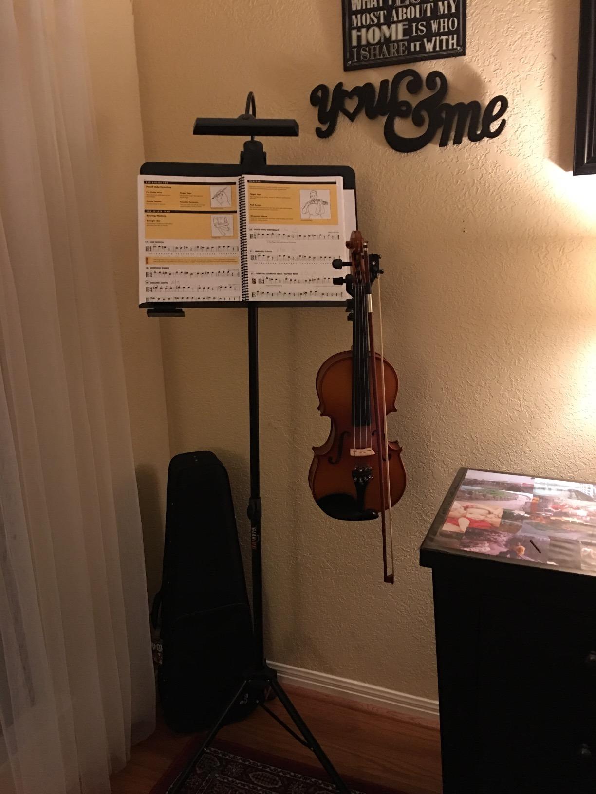 Cecilio Solid Wood Viola 16 Inch Viola Full Size, Professional Handcrafted Acoustic Viola with Ebony Fittings, D'Addario Prelude Strings, Antique Satin Finish customer photo 1