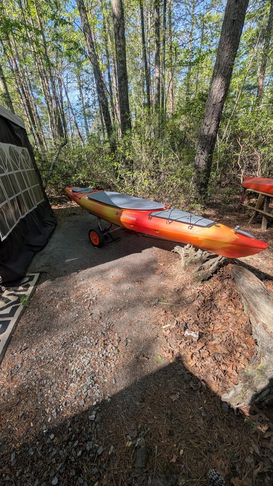 STAR BRITE Ultimate Paddlesports Cleaner & Protectant - Kayak, Canoe, Paddleboard UV Protective Spray - Fiberglass, Kevlar, Plastic Compatible - 22 OZ (096022) customer photo 1