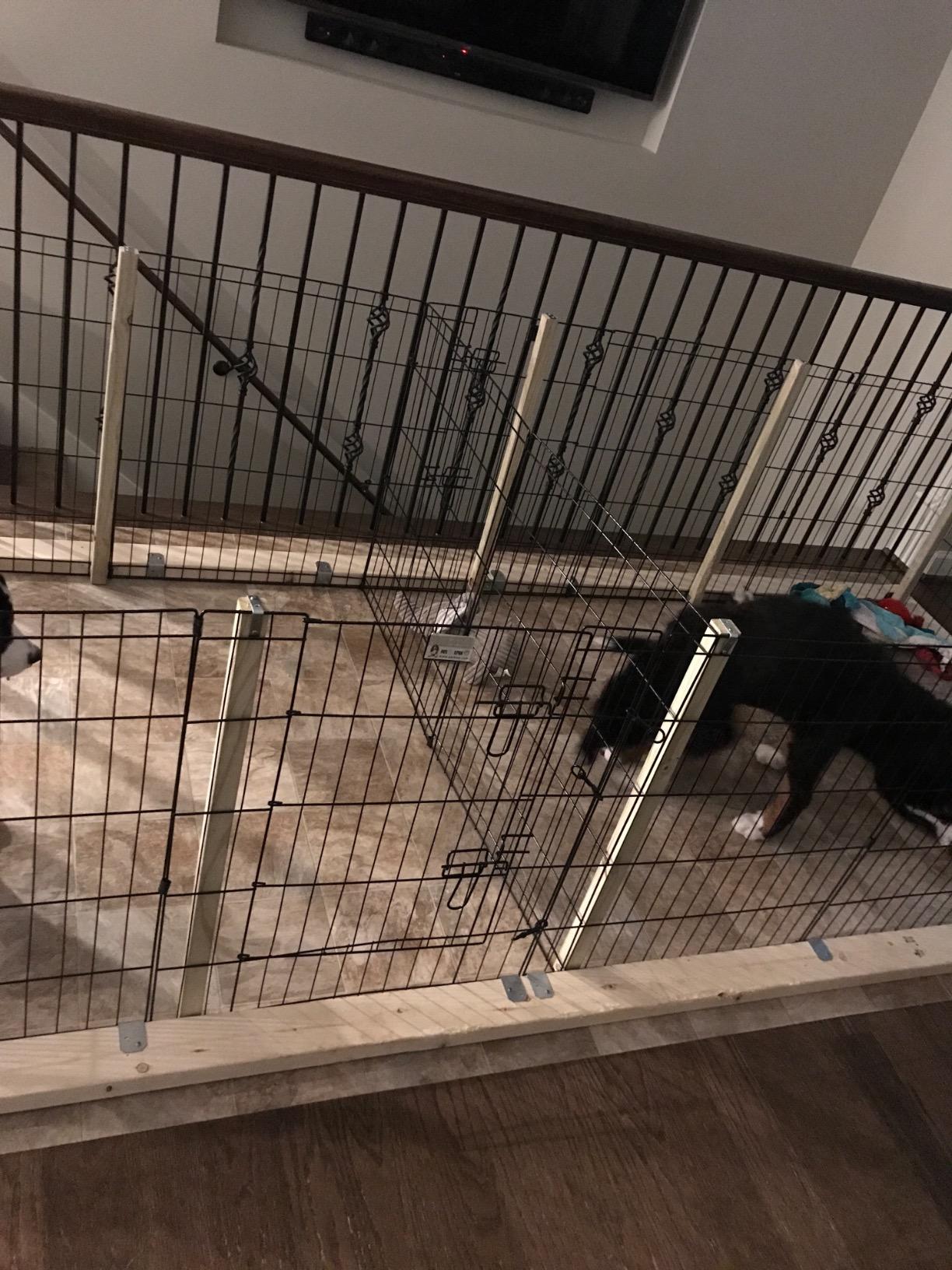 Dog Playpen - Foldable Metal Exercise Puppy Play Pen with 8 24x30in Panels - Indoor/Outdoor Pen with Door for Dogs, Cats or Small Animals by PETMAKER customer photo 1