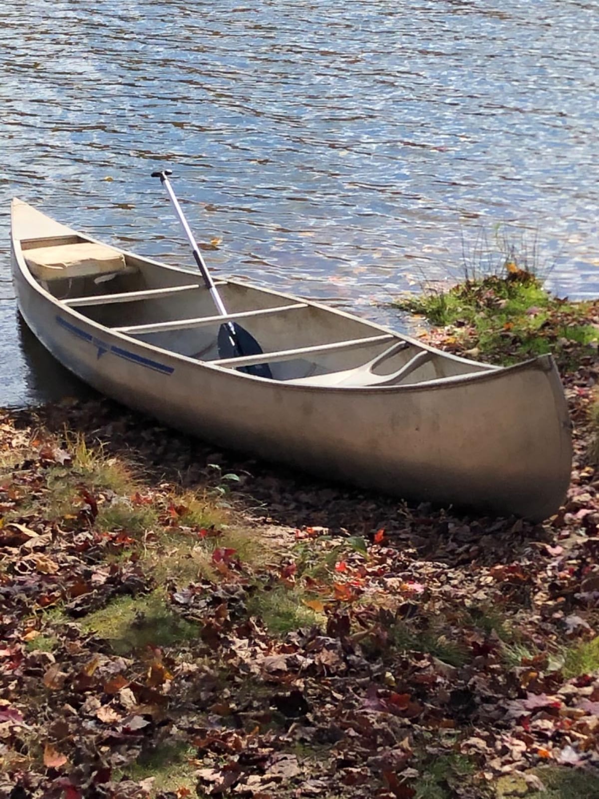 Attwood 11765-1 Canoe Paddle, Aluminum and Plastic, 5-Feet Long, Black Blade, Ergonomic Grip customer photo 1