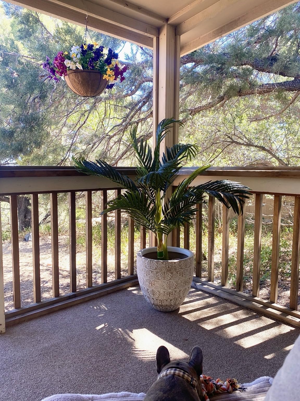 Nearly Natural 4 ft Artificial Golden Cane Palm Tree with Nursery Pot customer photo 2