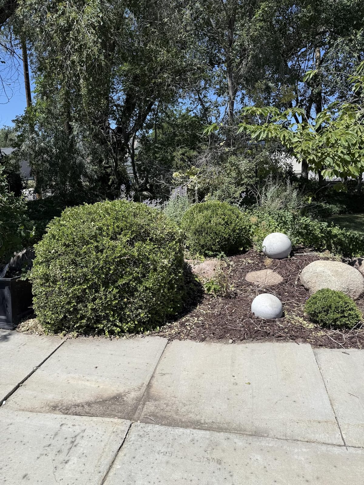 BLACK+DECKER Electric Hedge Trimmer, 17-Inch Corded 3.2 Amp, Dual Action, Reduced Vibration, Cleaner Cut, Lightweight, 3800 Cuts per Min (BEHT150) customer photo 1