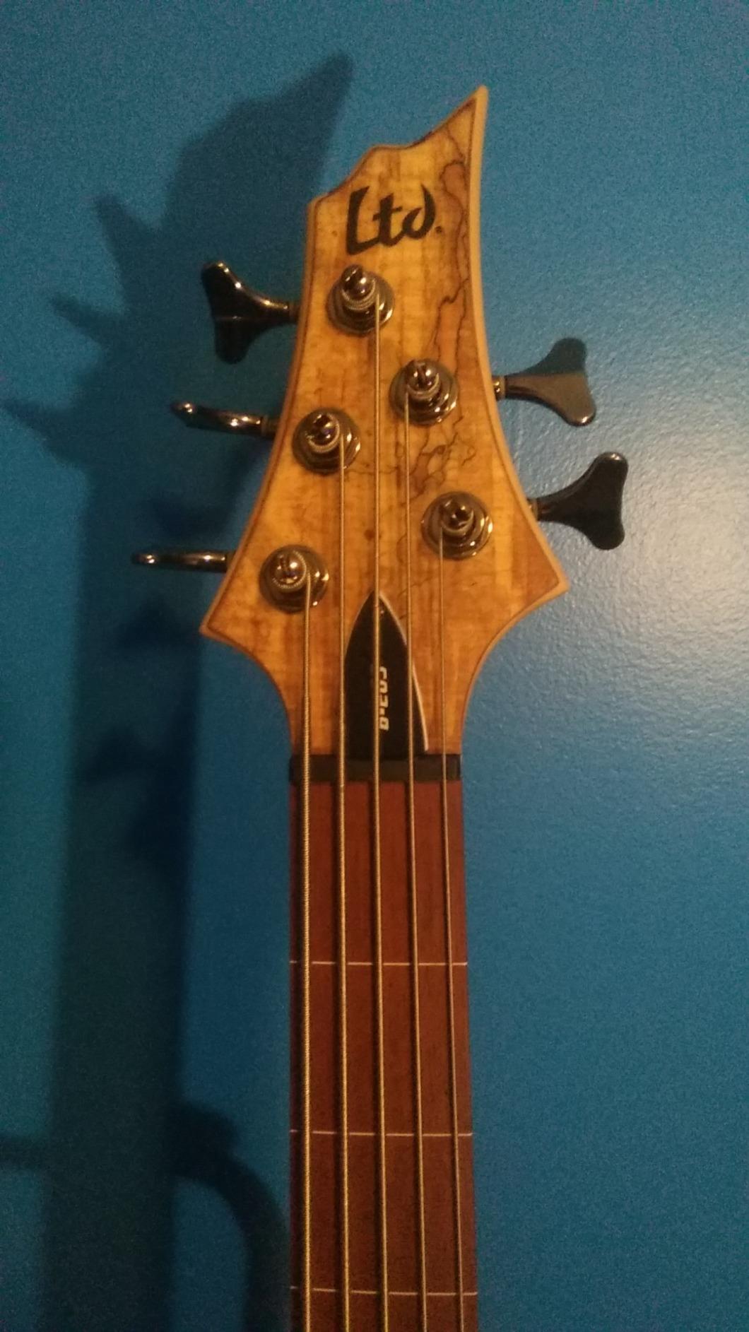 ESP LTD B-205SM Fretless - Natural Satin customer photo 1
