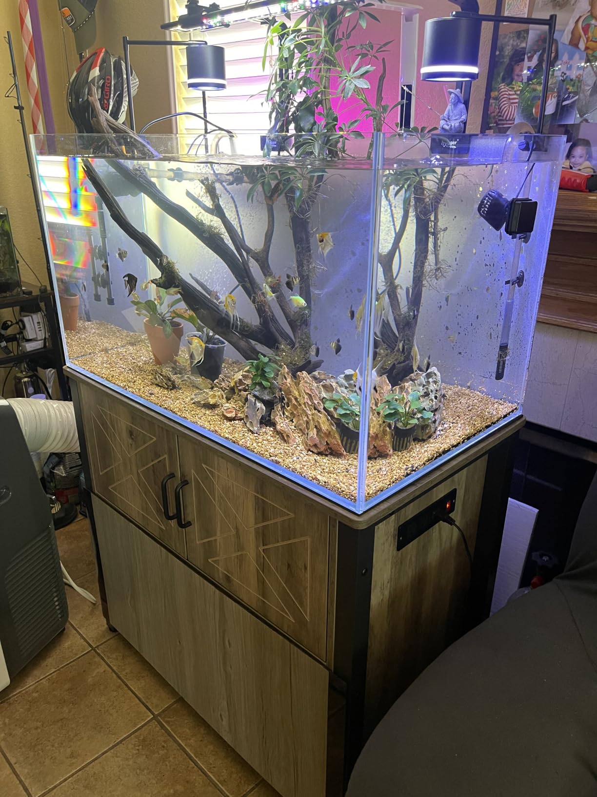 LANDEN Aquarium 90P 44 Gallon Ultra Clear Glass Rimless Fish Tank | 35.4x17.7x17.7in (90x45x45cm),10mm Low Iron Glass, leveling mat Included, Large Freshwater Plant Betta Turtle Aquascape Tank customer photo 1