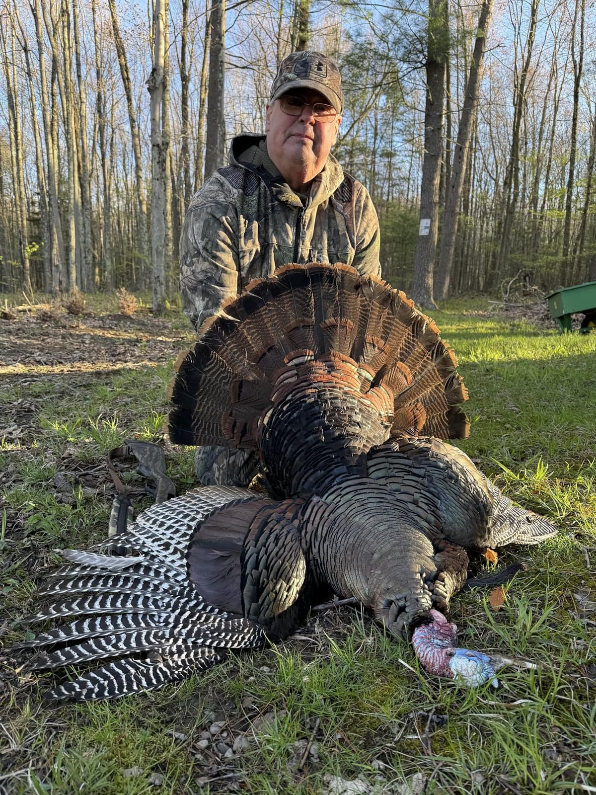 Avian X LCD Breeder Hen Turkey Decoy customer photo 1