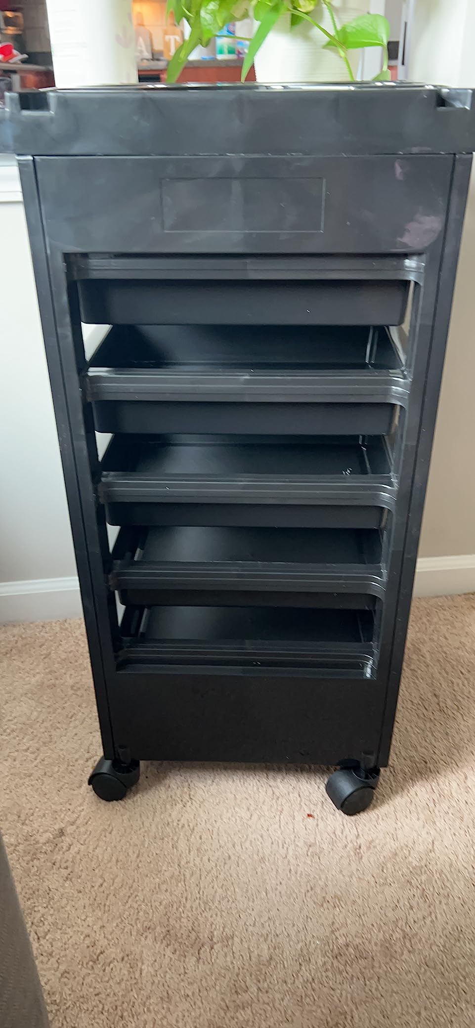 Saloniture Beauty Salon Rolling Trolley Cart with 5 Drawers customer photo 1