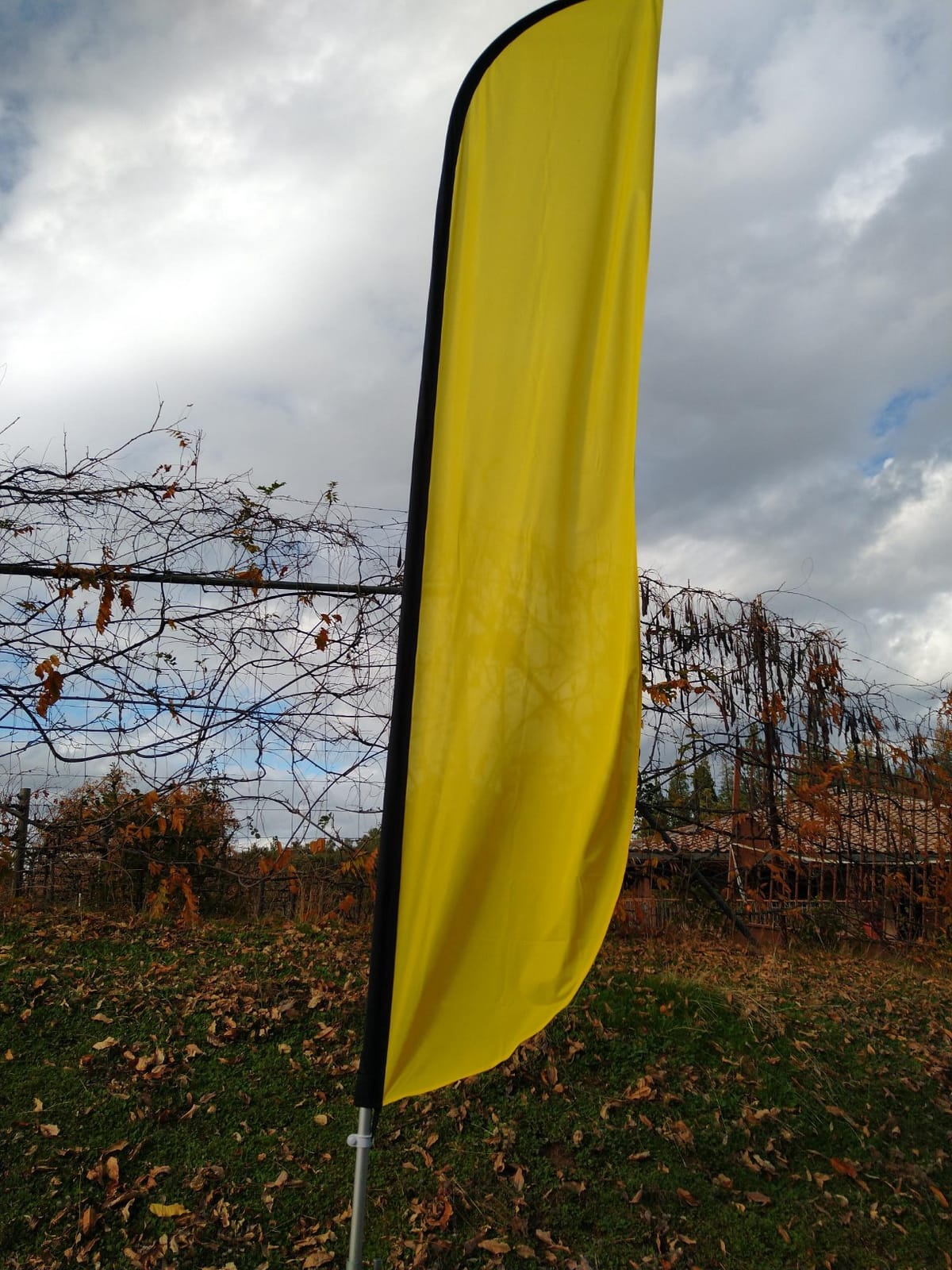 LookOurWay Feather Flag Banner - Advertising Flags for Outdoor Business and Events Promotion - Swooper Flag Only - Solid Color Flags customer photo 1