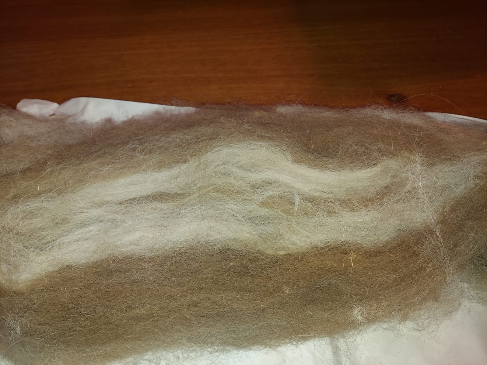 Ashford Wild Drum Carder customer photo 2