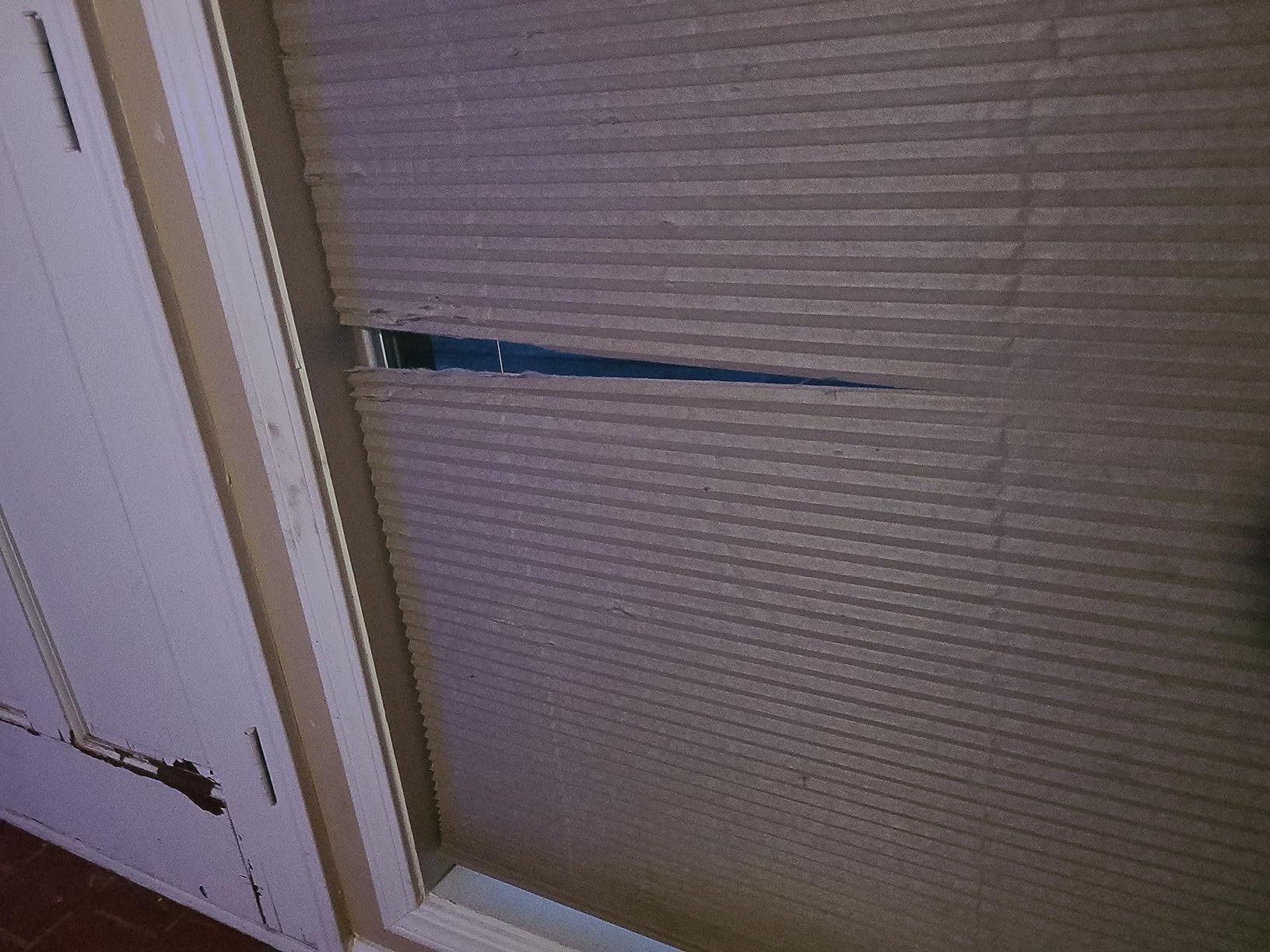 Custom Cordless Cellular Shades, Light Filtering, 28W x 48H, Daylight Sizes 21 to 72 Wide customer photo 1