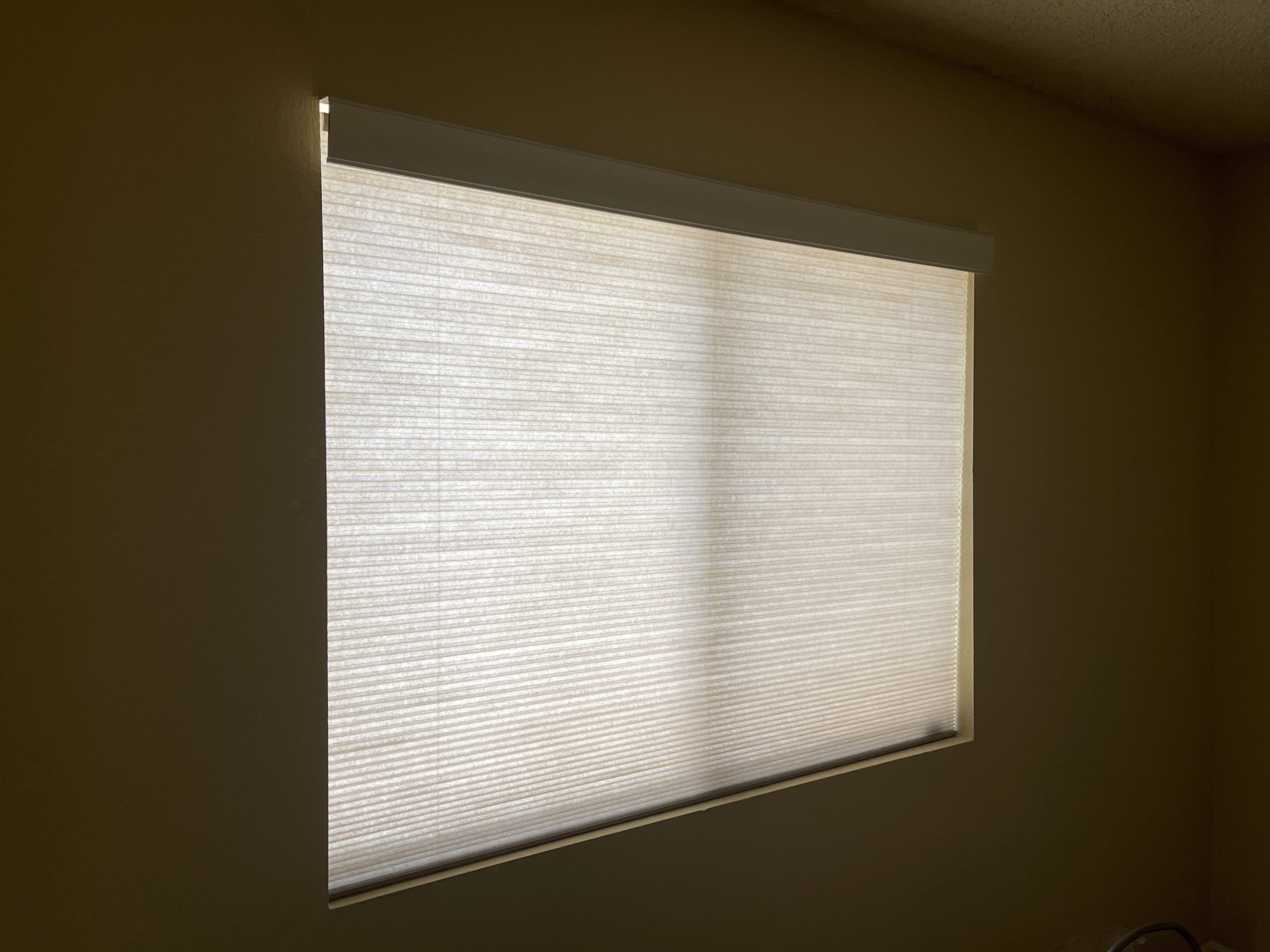 Custom Cordless Cellular Shades, Light Filtering, 28W x 48H, Daylight Sizes 21 to 72 Wide customer photo 2