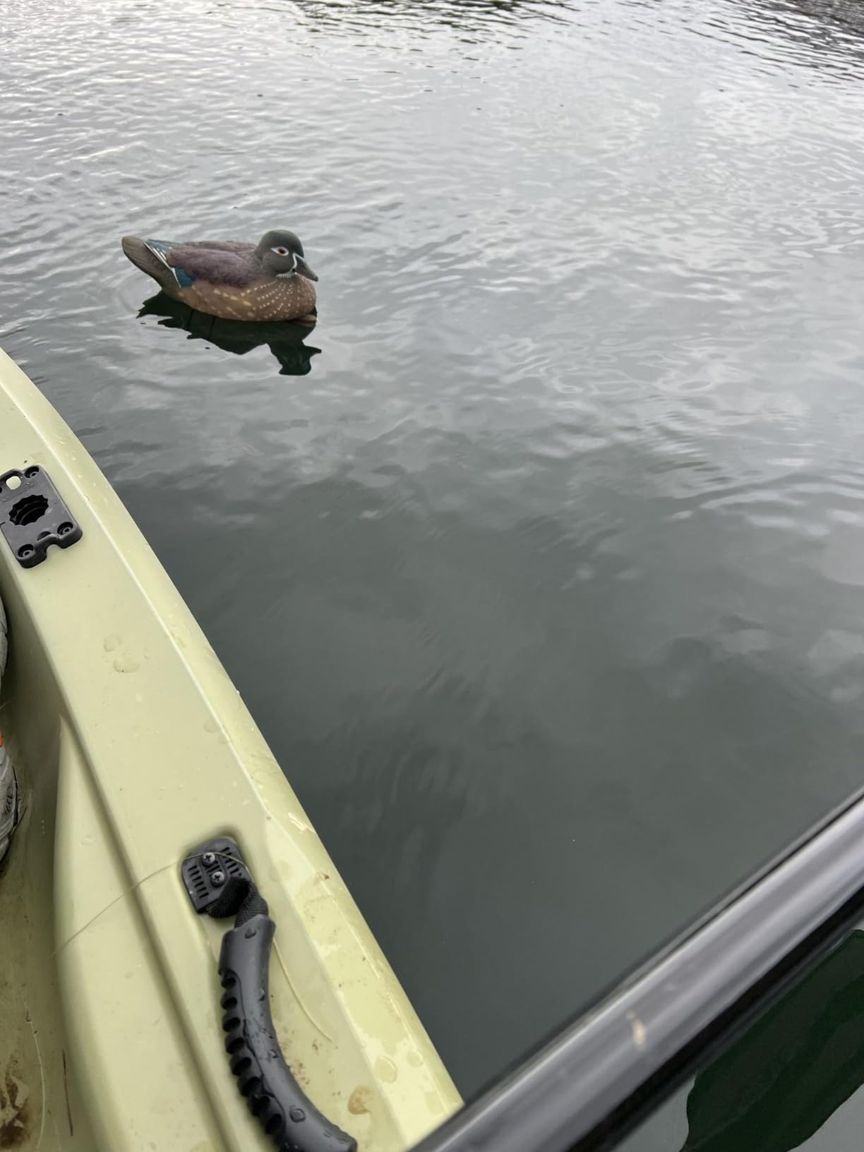 Avian X Topflight Realistic Floating Wood Duck Decoys with Weight-Forward Swim Keel, Set of 6 (Multicolor) customer photo 2