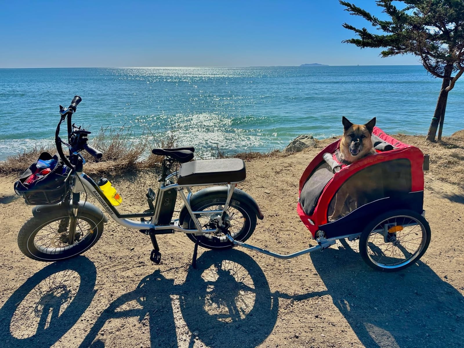 Best Choice Products 2-in-1 Dog Bike Trailer, Pet Stroller Bicycle Carrier w/Hitch, 66lb Weight Capacity customer photo 1