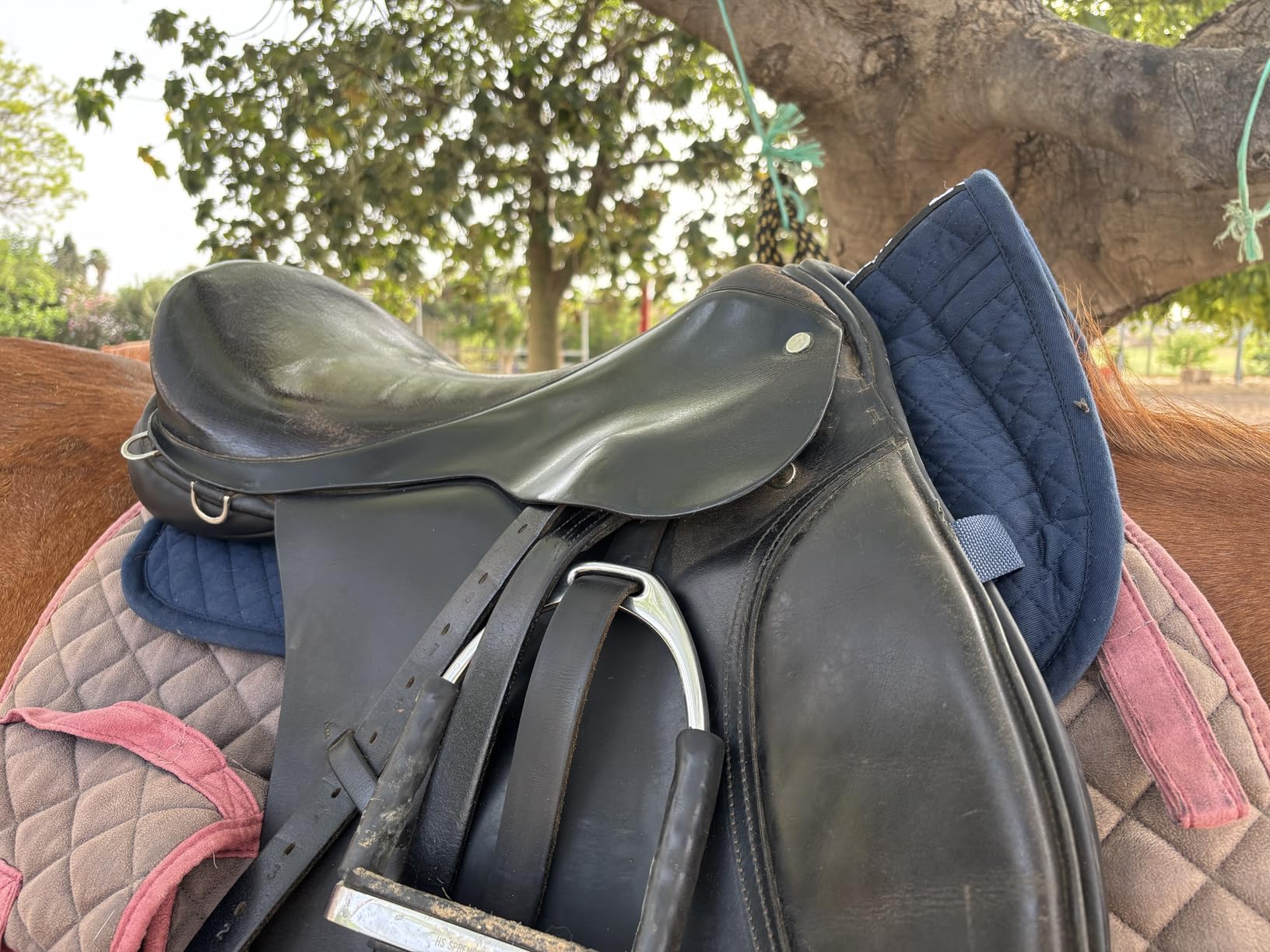 Adjustable Shock Absorbing Memory Foam Half Saddle Pad - Injury Prevention & Pressure Relief customer photo 1