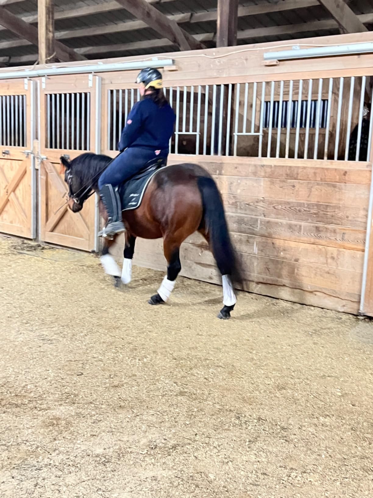 Adjustable Shock Absorbing Memory Foam Half Saddle Pad - Injury Prevention & Pressure Relief customer photo 2