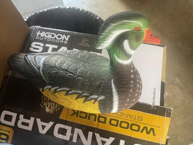 Higdon Outdoors Standard Wood Duck Floater Decoys | Ultra Realistic Drake & Hen Decoys for Waterfowl Hunting | 3 Upright & 1 Resting Drake & 2 Resting Hens | Foam-Filled | 6pk customer photo 1