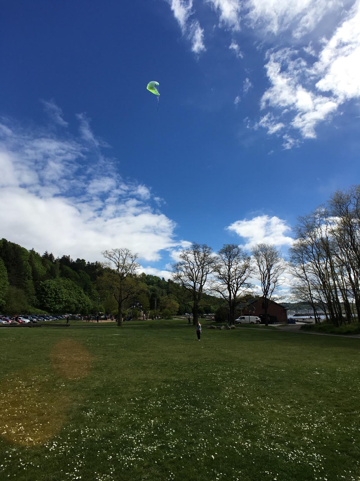 Prism Kite Technology Synapse 140 Dual-line Parafoil Kite - an Ideal Entry Level Kite for Kids and Adults to Dual-line Kiting, Cilantro customer photo 1
